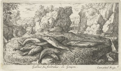 Bir nehir kıyısında gobies Gabius siue fundulus. Le Goujon. (nesne üzerindeki başlık) Balık ve diğer deniz canlıları - tatlı su ikinci serisi (dizi başlığı) İkinci parti de Poissons d
