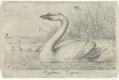 Kuğu ile manzara Kuğu. Cygne. (nesne üzerindeki başlık) On üç kuş türü (dizi başlığı) Diuersae Auium Specie (seri başlığı) by Albert Flamen