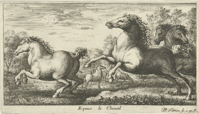 Atlar Equus le Cheval (nesne üzerindeki başlık) Farklı hayvan türleri (dizi başlığı) by Albert Flamen