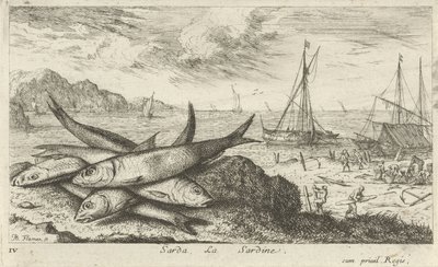 Sahilde Sardalya Sarda, La Sardalya. (nesne üzerindeki başlık) Balıklar ve diğer deniz canlıları - tuzlu su ilk seri (dizi başlığı) Divers Especes de Poissons de mer (dizi başlığı) by Albert Flamen