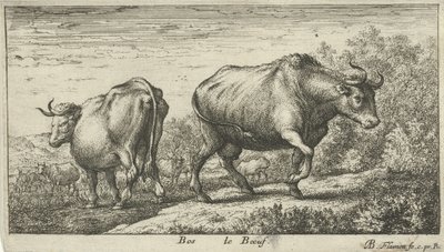 boğalar Bos le Boeuf (nesne üzerindeki başlık) Farklı hayvan türleri (dizi başlığı) by Albert Flamen