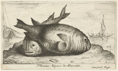 Sahilde iki yunus Phoca Na, Espèce de Marsouin, (nesne üzerindeki başlık) Balık ve diğer deniz canlıları - tuzlu su üçüncü serisi (dizi başlığı) Poissons de mer (dizi adı) by Albert Flamen