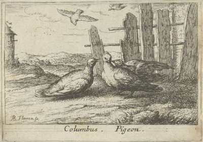 Bir çit, iki güvercin Kolomb. güvercin. (nesne üzerindeki başlık) On üç kuş türü (dizi başlığı) Diuersae Auium Specie (seri başlığı) by Albert Flamen
