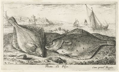 Sahilde iki yassı balık psetta. La Plye. (nesne üzerindeki başlık) Balık ve diğer deniz canlıları - tuzlu su ikinci serisi (dizi başlığı) Poissons de mer (dizi adı) by Albert Flamen