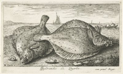 Sahilde iki yer Quadratulus. LeQuarlet. (nesne üzerindeki başlık) Balık ve diğer deniz canlıları - tuzlu su üçüncü serisi (dizi başlığı) Poissons de mer (dizi adı) by Albert Flamen