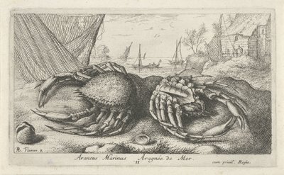 Balık ağının yanında iki örümcek yengeç Araneus Marinus Aragnée de Mer (nesne üzerindeki başlık) Balık ve diğer deniz canlıları - tuzlu su ikinci serisi (dizi başlığı) Poissons de mer (dizi adı) by Albert Flamen