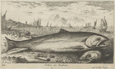 Sahilde iki somon Salmo. Le Saulmon (nesne üzerindeki başlık) Balık ve diğer deniz canlıları - tuzlu su ilk serisi (dizi başlığı) Çeşitli Especes de Poissons de mer (dizi başlığı) by Albert Flamen