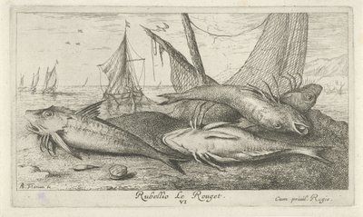 Sahilde dört barbunya Rubellio Le Rouget. (nesne üzerindeki başlık) Balık ve diğer deniz canlıları - tuzlu su ikinci serisi (dizi başlığı) Poissons de mer (dizi adı) by Albert Flamen