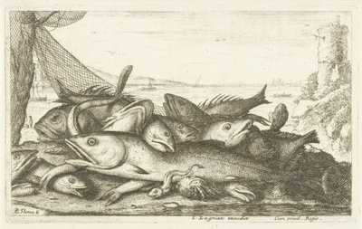 münzevi yengeç balıkçılığı Farklı balık türleri (dizi başlığı) Çeşitli Especes De Poissons tant de Mer, que d