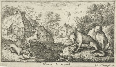 tilkiler Vulpes le Renard (nesnedeki başlık) Farklı hayvan türleri (dizi başlığı) by Albert Flamen