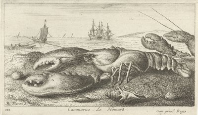 Cammarus sahilinde ıstakoz. Le Homard (nesne üzerindeki başlık) Balık ve diğer deniz hayvanları - tuzlu su ilk serisi (dizi başlığı) Diverses Especes de Poissons de mer (dizi başlığı) by Albert Flamen