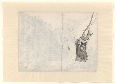 Bir Ağacın Kroki by Albert Meyering