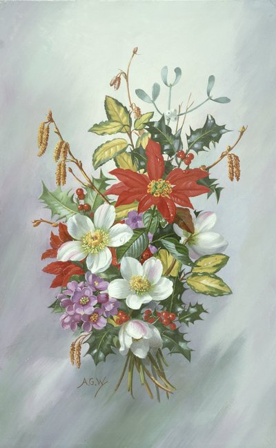 AB97 Noel Buketi by Albert Williams