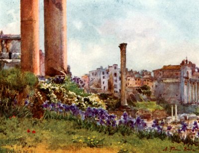 A Corner of the Forum from the base of the Temple of Saturn by Alberto Pisa