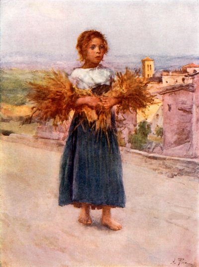 Campagna