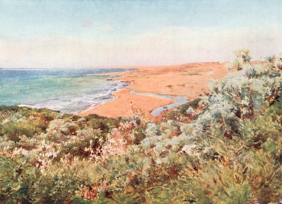 Sahil, Selinunte by Alberto Pisa