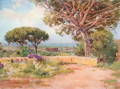 Concord Tapınağı, Girgenti, S. Nicola
