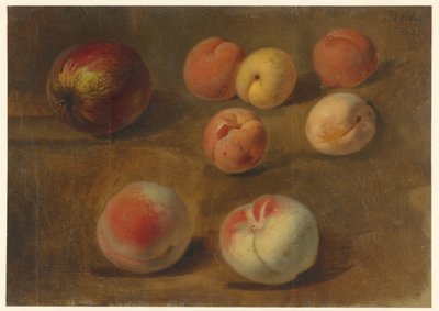 Elma, şeftali ve kayısı ile natürmort by Albertus Steenbergen