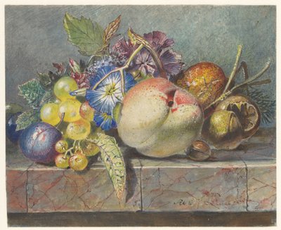 Meyve ve çiçek natürmort by Albertus Steenbergen