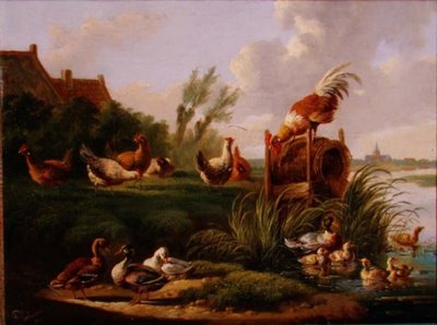 Nehir kıyısında ördekler ve kümes hayvanları by Albertus Verhoesen