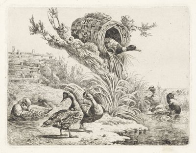 Bir su kenarındaki ördekler by Albertus Verhoesen