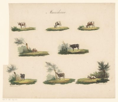 Manzaradaki inekler Makedon (nesne üzerindeki başlık) by Albertus Verhoesen