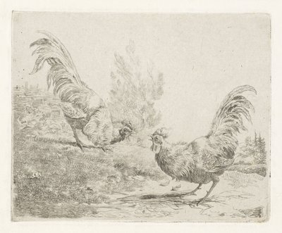 İki dövüşen horoz by Albertus Verhoesen
