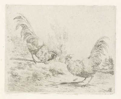 İki dövüşen horoz by Albertus Verhoesen
