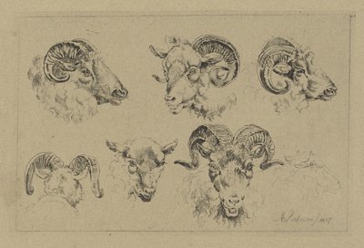 Beş koç başı ve bir koyun başı by Albertus Verhoesen