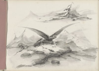 Dağlarla bir sahil üzerinde uçan kartal by Albertus van Beest