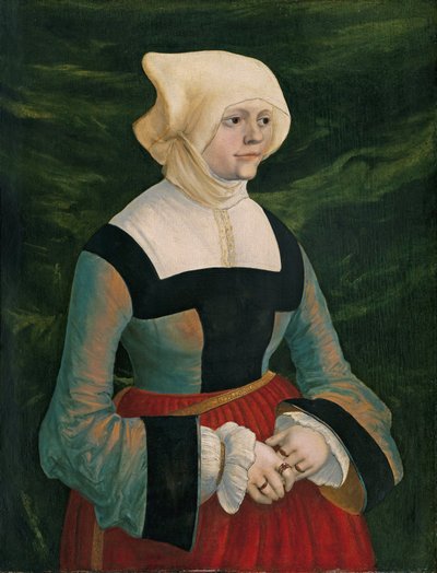  by Albrecht Altdorfer