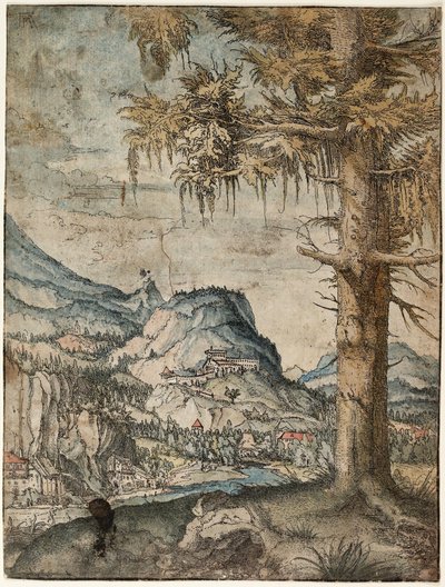  by Albrecht Altdorfer