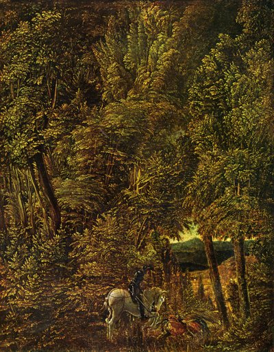 by Albrecht Altdorfer