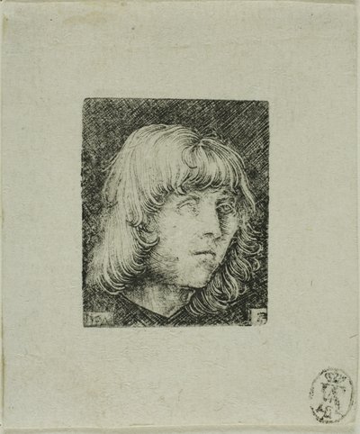 Genç Bir Adamın Başı by Albrecht Altdorfer