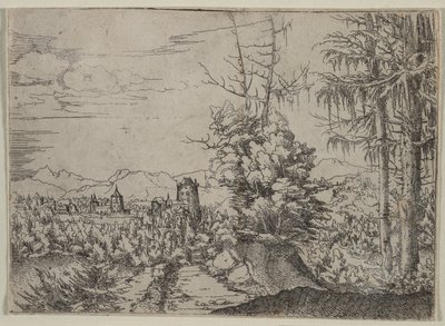 İki Çam ile Peyzaj by Albrecht Altdorfer