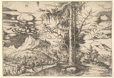 Çift Ladin ile Peyzaj, yaklaşık. 1521-22. by Albrecht Altdorfer