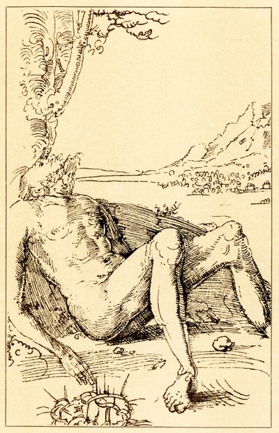 Bir Ağıt Çalışması by Albrecht Altdorfer