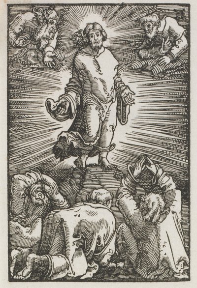 İnsanın Düşüşü ve Kefareti: Başkalaşım by Albrecht Altdorfer