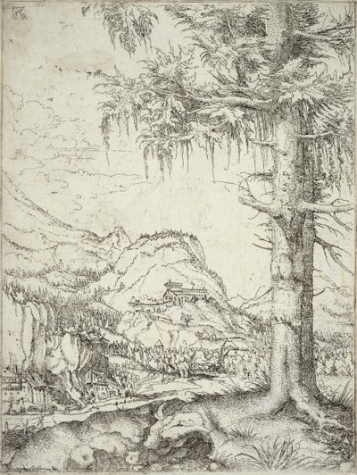 Büyük Ladin, c.1520 by Albrecht Altdorfer