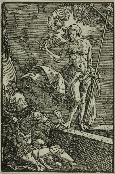 İnsanın Düşüşünden ve Kurtuluşundan Diriliş by Albrecht Altdorfer