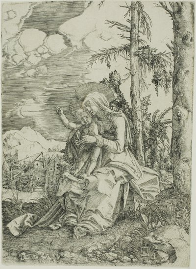 Bir Manzarada Nimet Çocukla Bakire by Albrecht Altdorfer