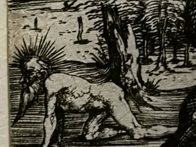  by Albrecht Dürer