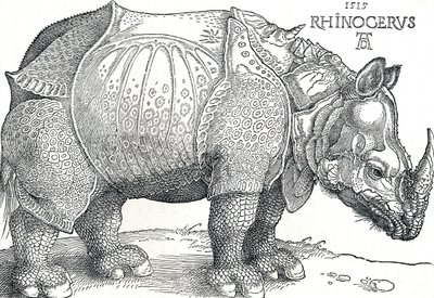 Gergedan, 1515, 1906 by Albrecht Dürer