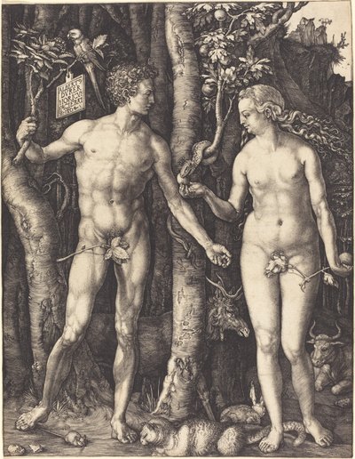 Adem ve Havva by Albrecht Dürer