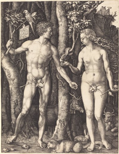 Adem ve Havva by Albrecht Dürer