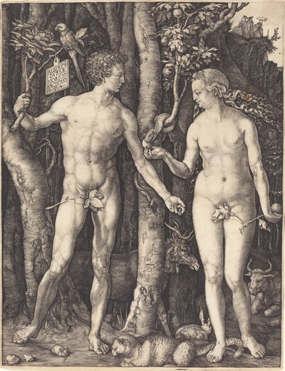 Adem ve Havva by Albrecht Dürer