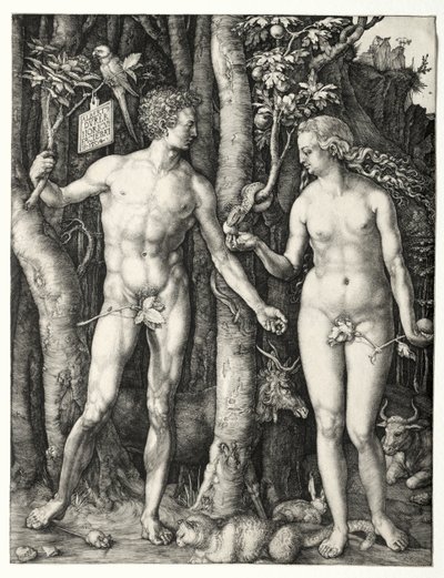 Adem ve Havva by Albrecht Dürer