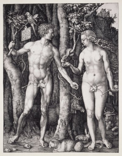  by Albrecht Dürer