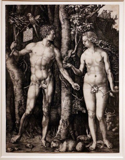  by Albrecht Dürer