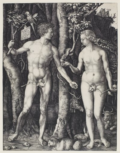  by Albrecht Dürer
